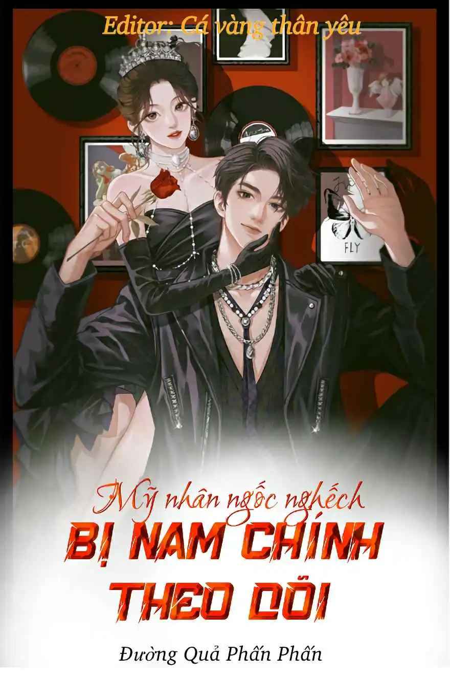 xuyen-sach-my-nhan-ngoc-nghech-bi-nam-chinh-theo-doi