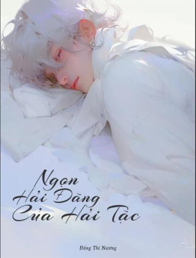 ngon-hai-dang-cua-hai-tac