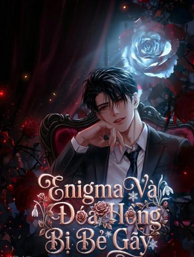 enigma-va-doa-hong-bi-be-gay