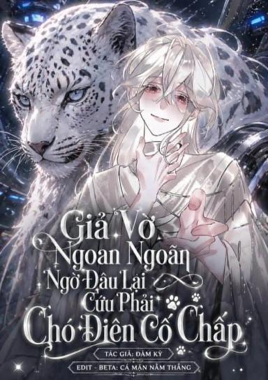 gia-vo-ngoan-hien-ngo-dau-lai-cuu-phai-cho-dien-co-chap