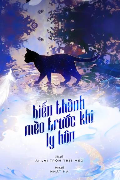bien-thanh-meo-truoc-khi-ly-hon