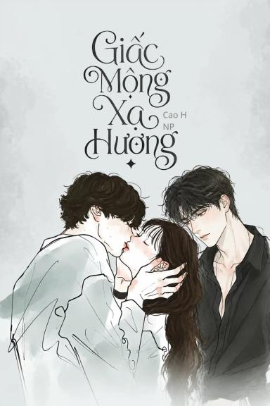 giac-mong-xa-huong-cao-h-np