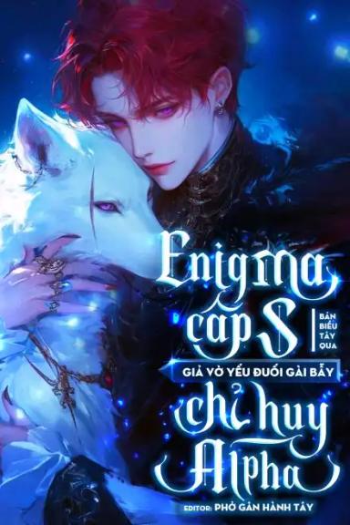 enigma-cap-s-vo-yeu-duoi-gai-bay-chi-huy-alpha