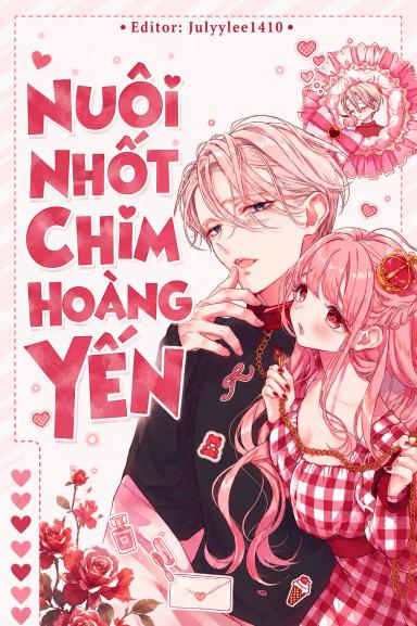 nuoi-nhot-chim-hoang-yen