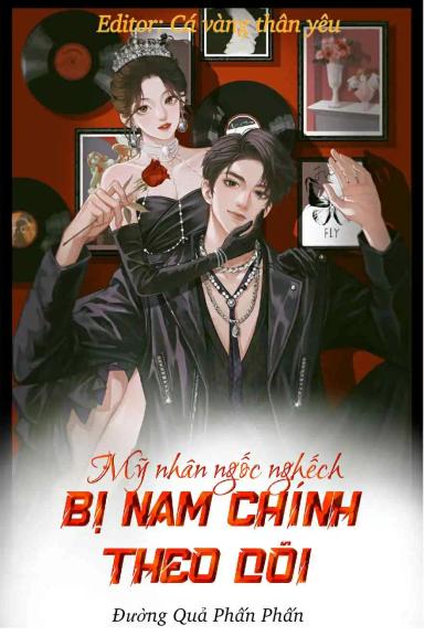 xuyen-sach-my-nhan-ngoc-nghech-bi-nam-chinh-theo-doi