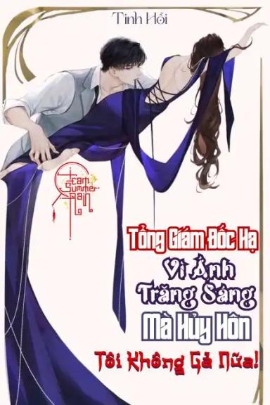 tong-giam-doc-ha-vi-anh-trang-sang-ma-huy-hon-toi-khong-ga-nua